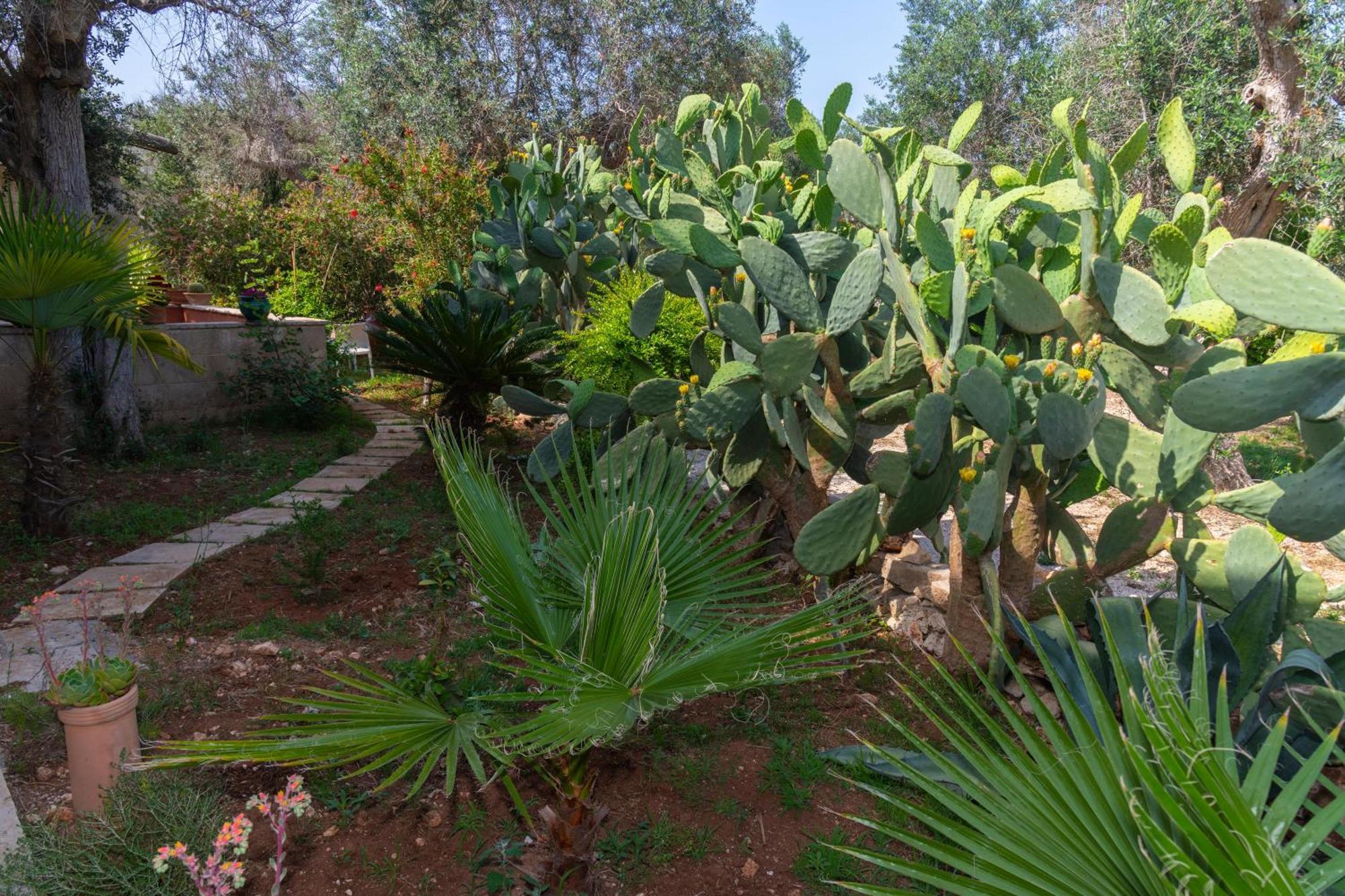 Spongano Case Fra Gli Ulivi מראה חיצוני תמונה