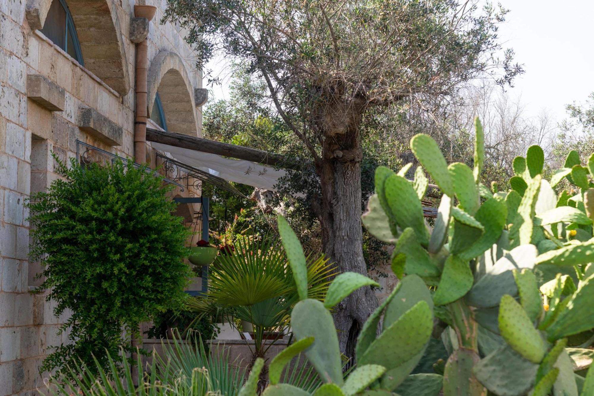 Spongano Case Fra Gli Ulivi מראה חיצוני תמונה